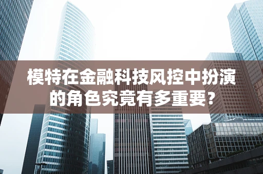 模特在金融科技风控中扮演的角色究竟有多重要？