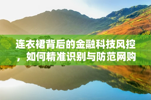 连衣裙背后的金融科技风控，如何精准识别与防范网购欺诈？