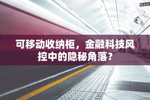 可移动收纳柜，金融科技风控中的隐秘角落？