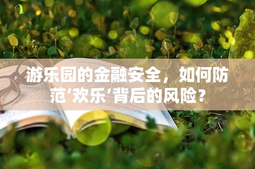 游乐园的金融安全，如何防范‘欢乐’背后的风险？