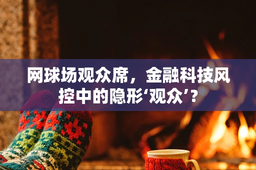 网球场观众席，金融科技风控中的隐形‘观众’？