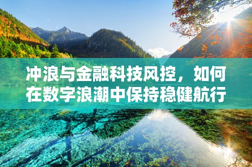 冲浪与金融科技风控，如何在数字浪潮中保持稳健航行？