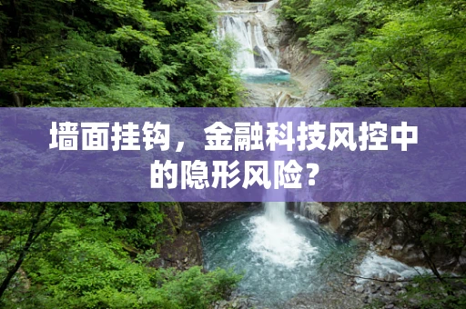 墙面挂钩，金融科技风控中的隐形风险？