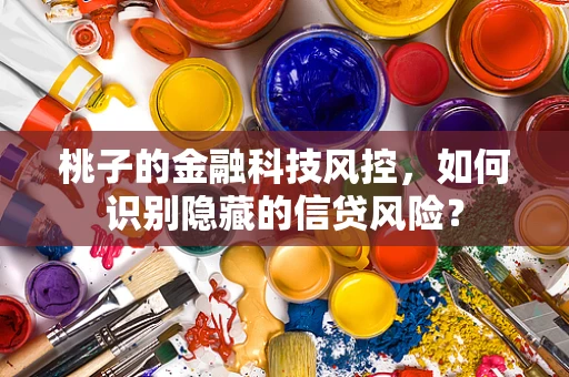 桃子的金融科技风控，如何识别隐藏的信贷风险？