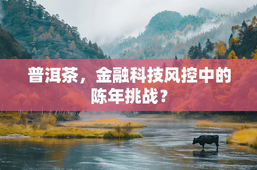 普洱茶，金融科技风控中的陈年挑战？