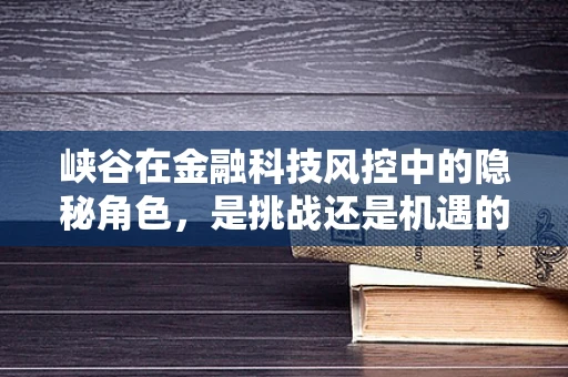峡谷在金融科技风控中的隐秘角色，是挑战还是机遇的藏身之地？