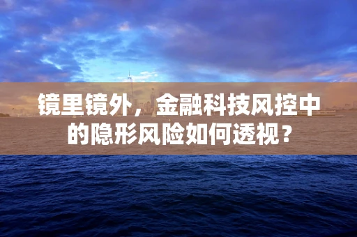 镜里镜外，金融科技风控中的隐形风险如何透视？