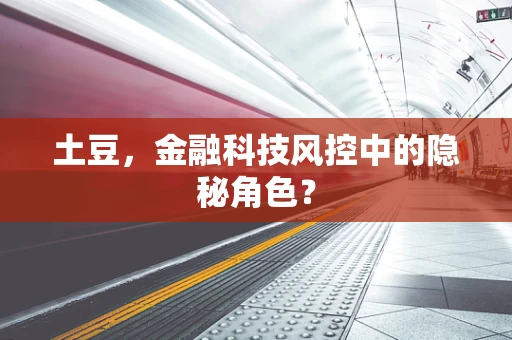 土豆，金融科技风控中的隐秘角色？
