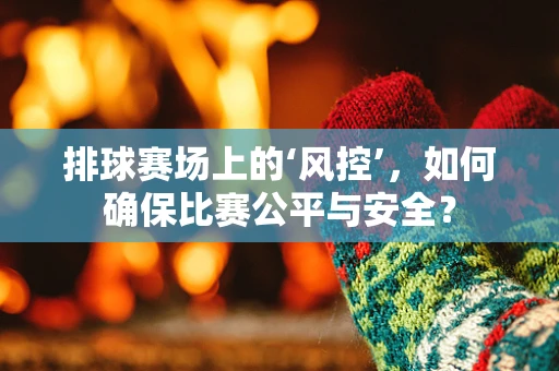 排球赛场上的‘风控’，如何确保比赛公平与安全？