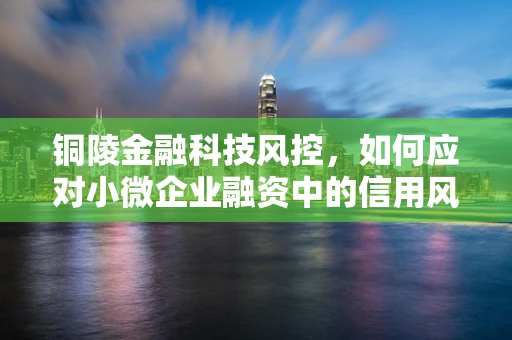 铜陵金融科技风控，如何应对小微企业融资中的信用风险？