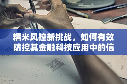 糯米风控新挑战，如何有效防控其金融科技应用中的信用风险？