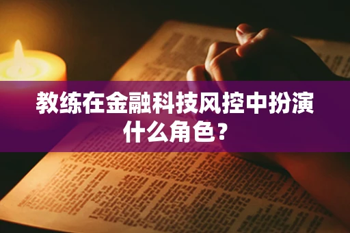 教练在金融科技风控中扮演什么角色？