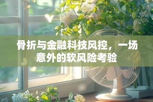 骨折与金融科技风控，一场意外的软风险考验