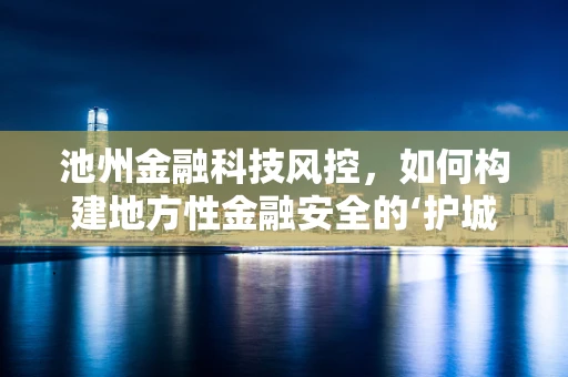 池州金融科技风控，如何构建地方性金融安全的‘护城河’？