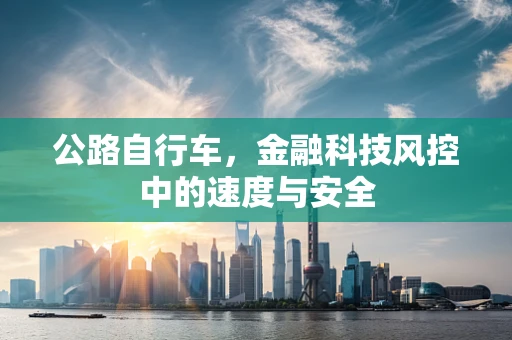 公路自行车，金融科技风控中的速度与安全