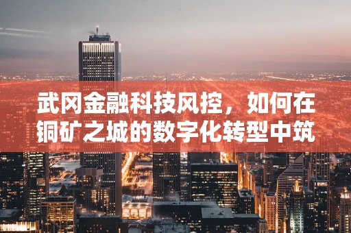 武冈金融科技风控，如何在铜矿之城的数字化转型中筑起安全防线？