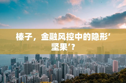榛子，金融风控中的隐形‘坚果’？