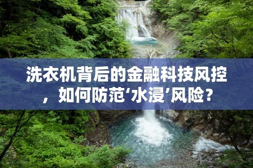 洗衣机背后的金融科技风控，如何防范‘水浸’风险？