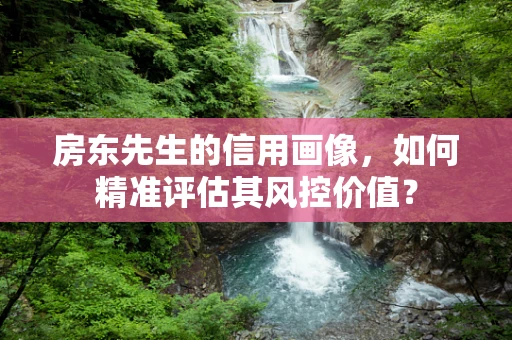 房东先生的信用画像，如何精准评估其风控价值？