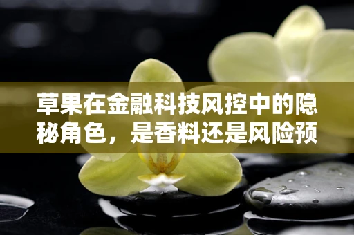 草果在金融科技风控中的隐秘角色，是香料还是风险预警器？