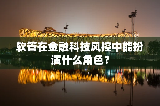 软管在金融科技风控中能扮演什么角色？