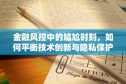 金融风控中的尴尬时刻，如何平衡技术创新与隐私保护？