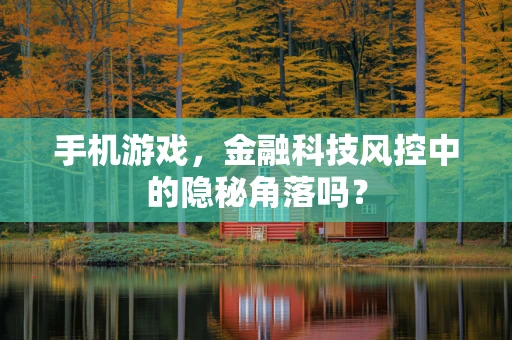 手机游戏，金融科技风控中的隐秘角落吗？