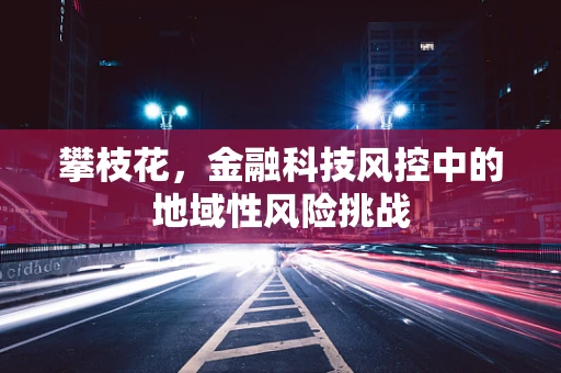 攀枝花，金融科技风控中的地域性风险挑战