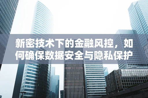 新密技术下的金融风控，如何确保数据安全与隐私保护？