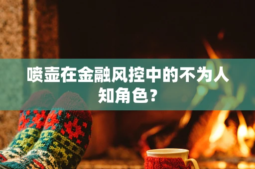 喷壶在金融风控中的不为人知角色？