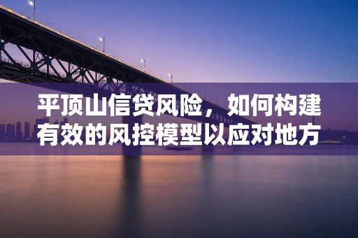平顶山信贷风险，如何构建有效的风控模型以应对地方经济特性？