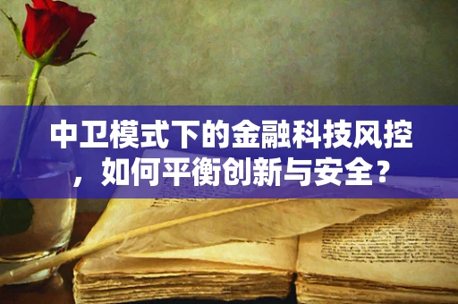 中卫模式下的金融科技风控，如何平衡创新与安全？