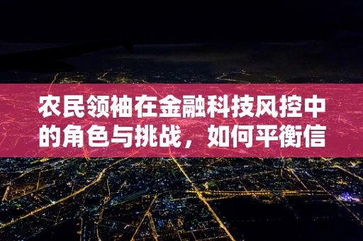 农民领袖在金融科技风控中的角色与挑战，如何平衡信贷支持与风险控制？