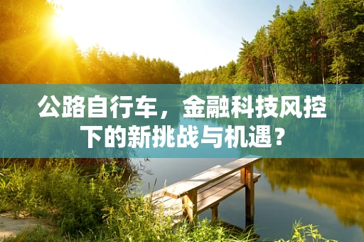 公路自行车，金融科技风控下的新挑战与机遇？