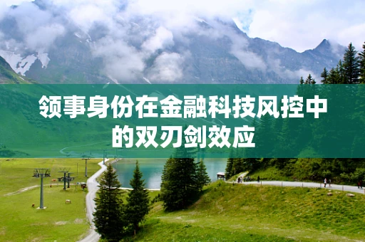 领事身份在金融科技风控中的双刃剑效应