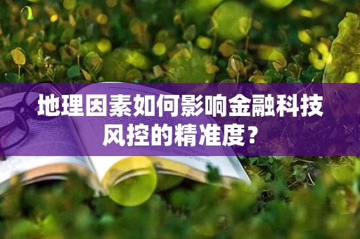 地理因素如何影响金融科技风控的精准度？