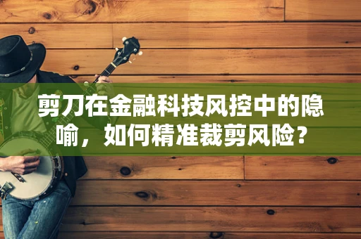 剪刀在金融科技风控中的隐喻，如何精准裁剪风险？