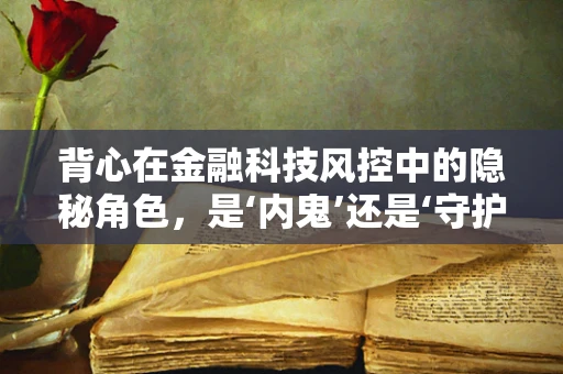 背心在金融科技风控中的隐秘角色，是‘内鬼’还是‘守护者’？