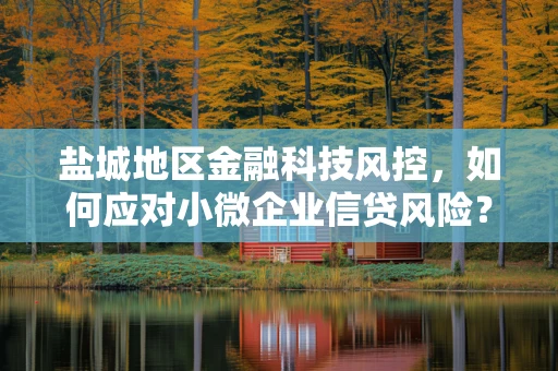 盐城地区金融科技风控，如何应对小微企业信贷风险？