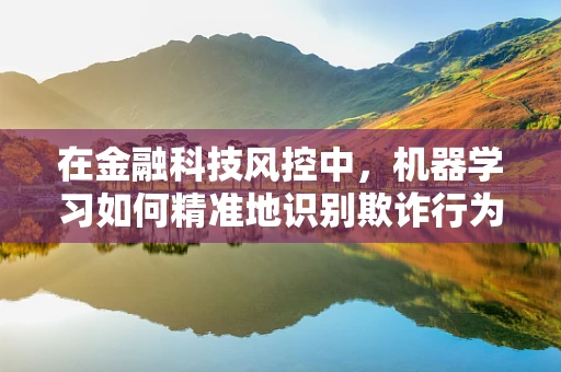 在金融科技风控中，机器学习如何精准地识别欺诈行为？