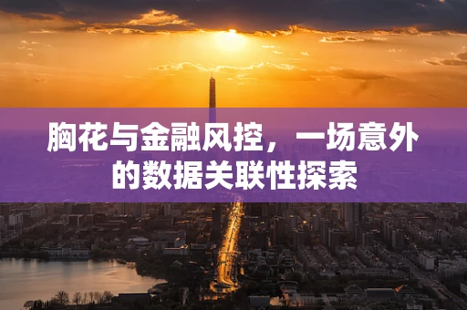 胸花与金融风控，一场意外的数据关联性探索