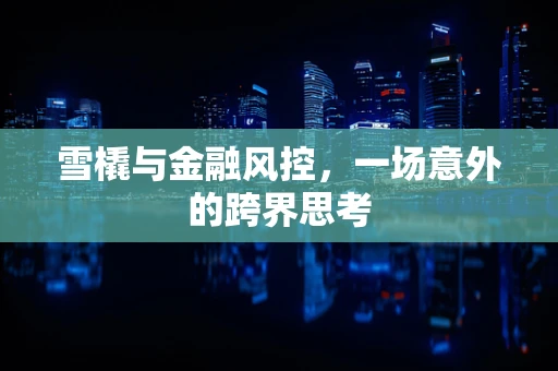 雪橇与金融风控，一场意外的跨界思考