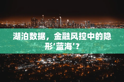 湖泊数据，金融风控中的隐形‘蓝海’？