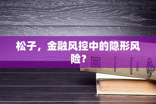 松子，金融风控中的隐形风险？