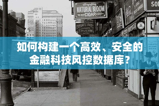 如何构建一个高效、安全的金融科技风控数据库？