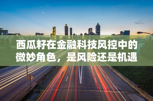 西瓜籽在金融科技风控中的微妙角色，是风险还是机遇？