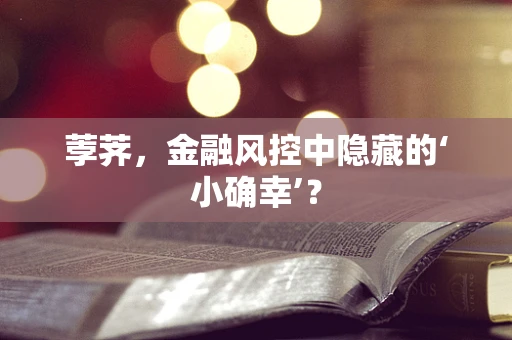 荸荠，金融风控中隐藏的‘小确幸’？