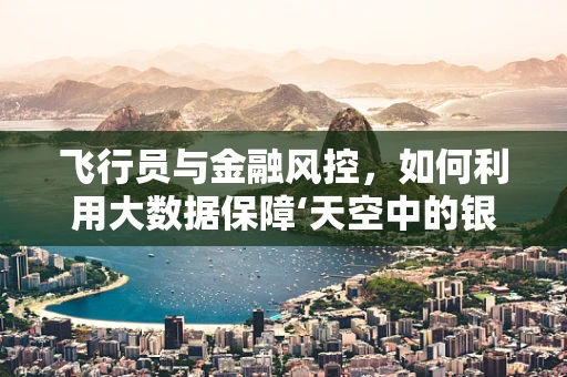 飞行员与金融风控，如何利用大数据保障‘天空中的银行’安全？