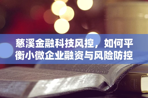 慈溪金融科技风控，如何平衡小微企业融资与风险防控的微妙关系？