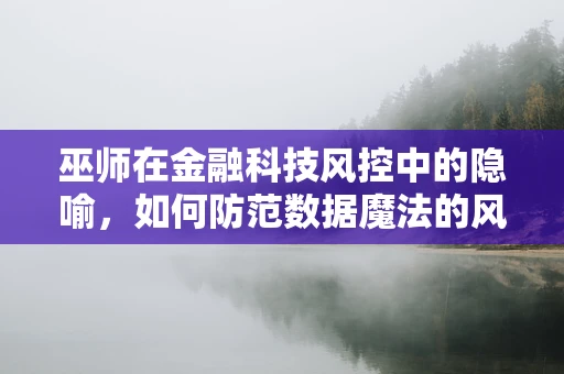 巫师在金融科技风控中的隐喻，如何防范数据魔法的风险？